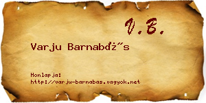 Varju Barnabás névjegykártya