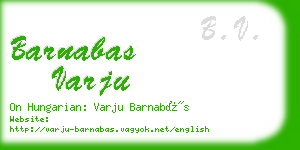 barnabas varju business card